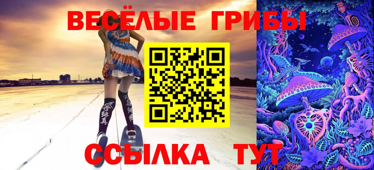 Северобайкальск  Галлюциногенные грибы Psilocybine cubensis  Вход с VPN 