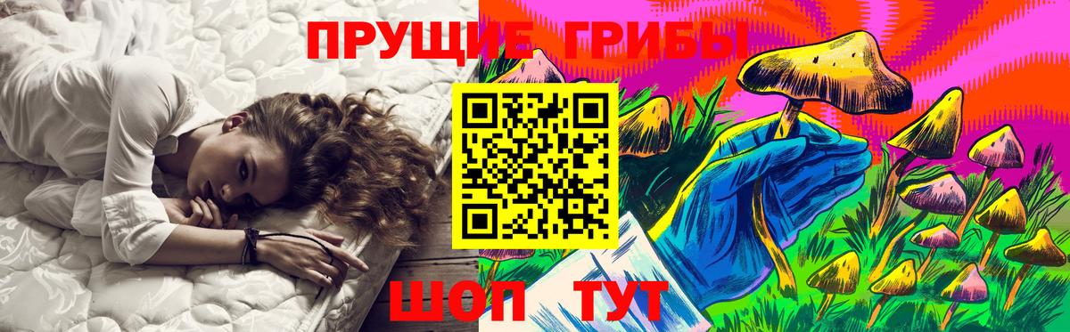 Галлюциногенные грибы GOLDEN TEACHER Северобайкальск